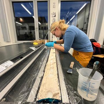 eloise wilkinson row research