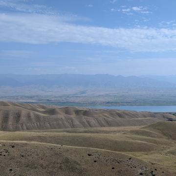 emma greenough research