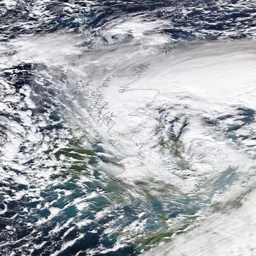 reyhan ermis research