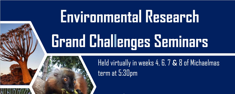 grand challenges website banner
