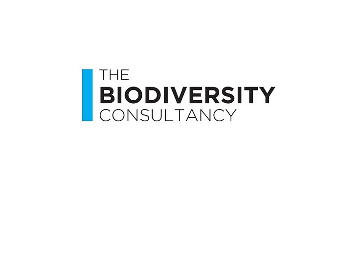 biodiv consult logo