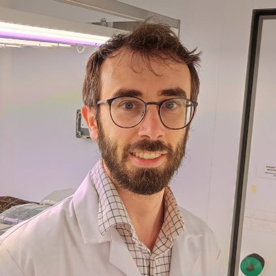 francesco licausi