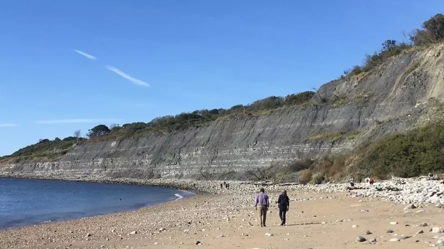 hilton project banner beach walk