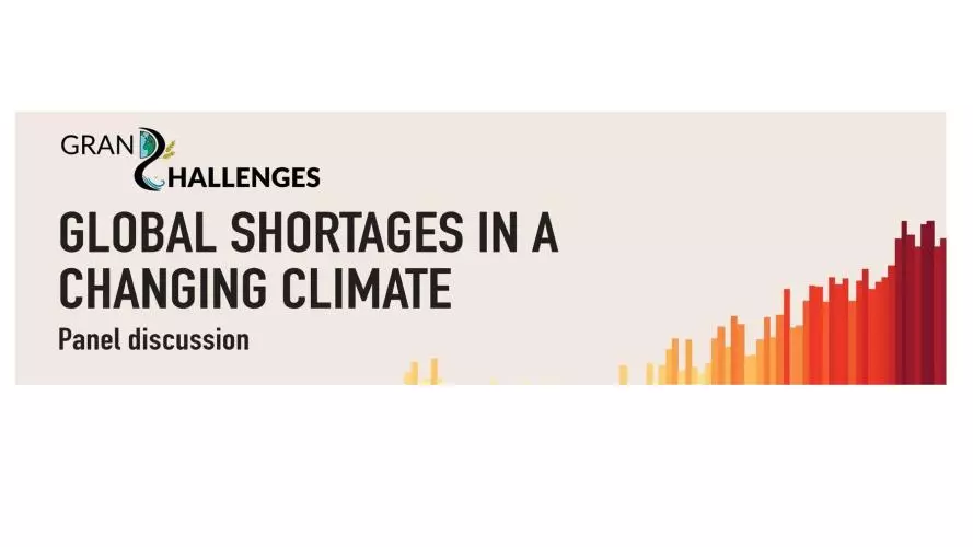 global shortages banner 2
