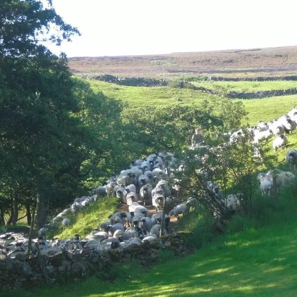 natural england research image