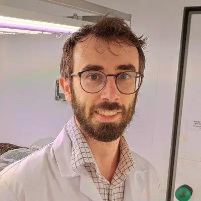 francesco licausi